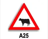 Animale